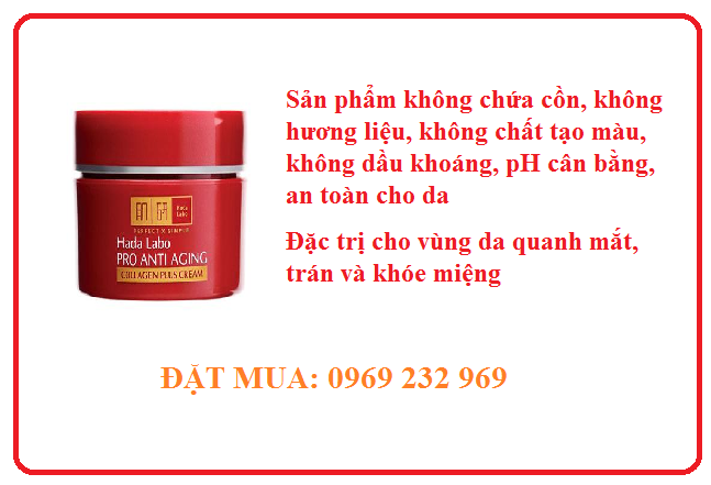 https://bbu.vn/storage/uploads/images/KEM 1234.png